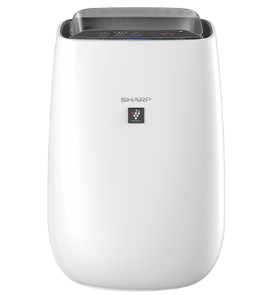 Air purifier